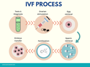 IVF Center in Chennai